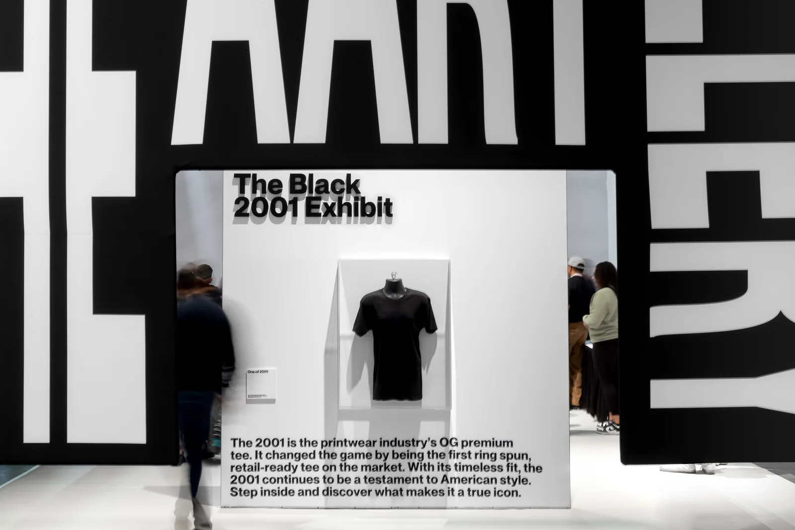 American Apparel project image 2